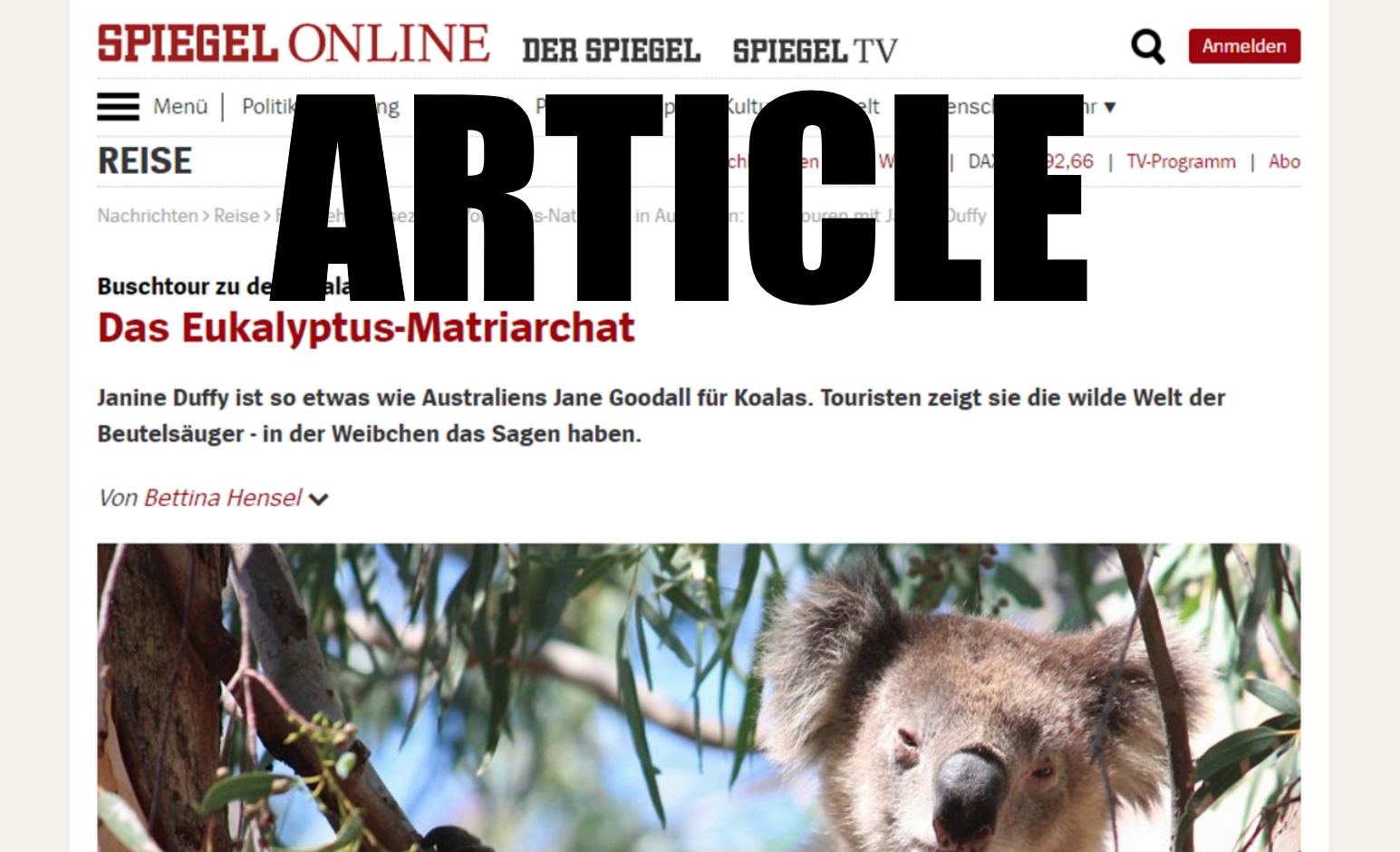 Article in German newspaper