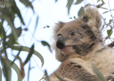 Smoky Family: Pat, Clancy