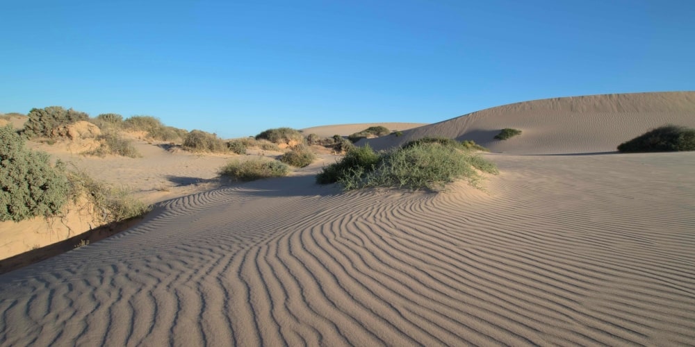 travel sand dunes in Australia